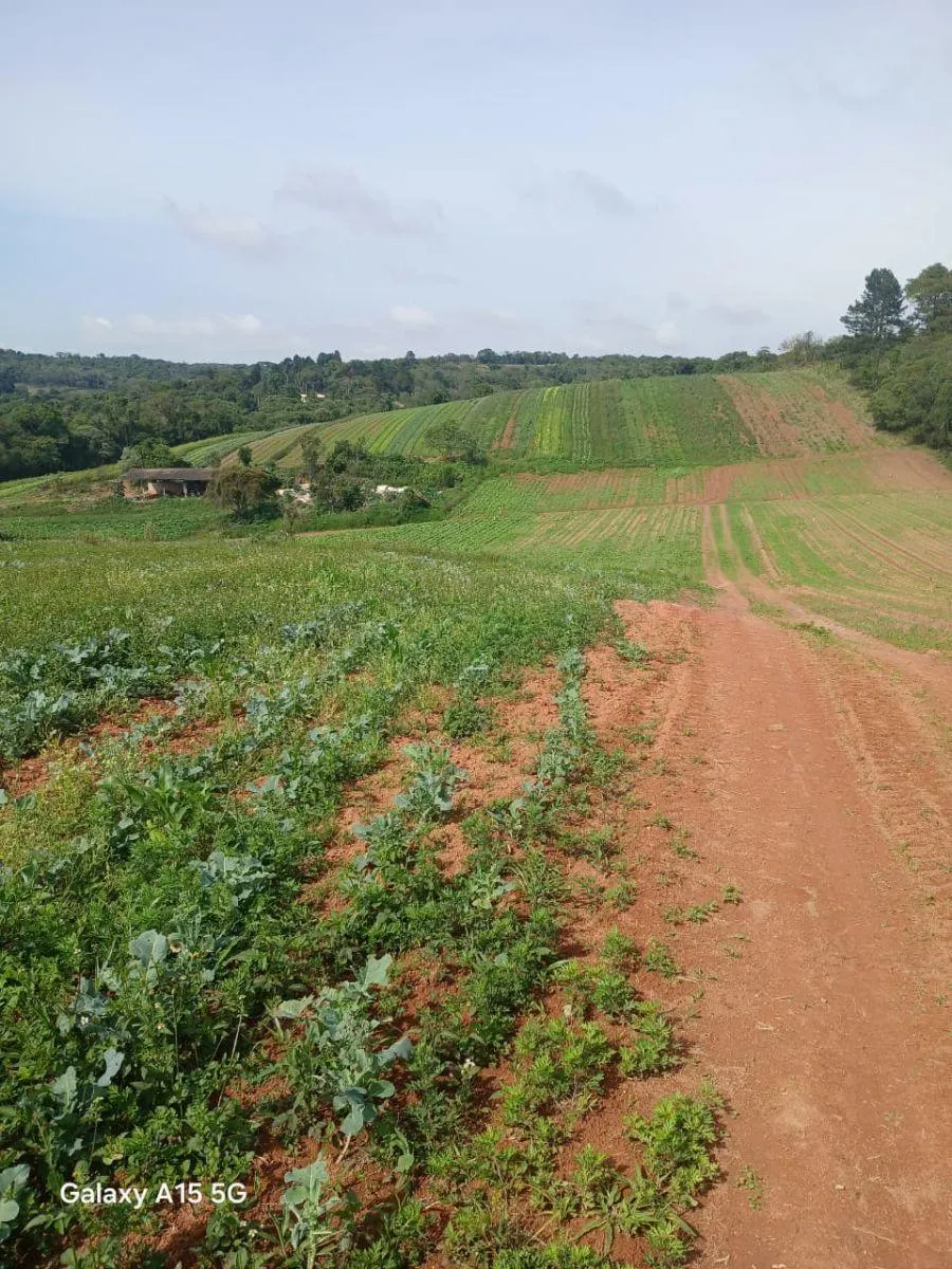 Small farm for sale of 102 acres in Ibiúna, SP, Brazil