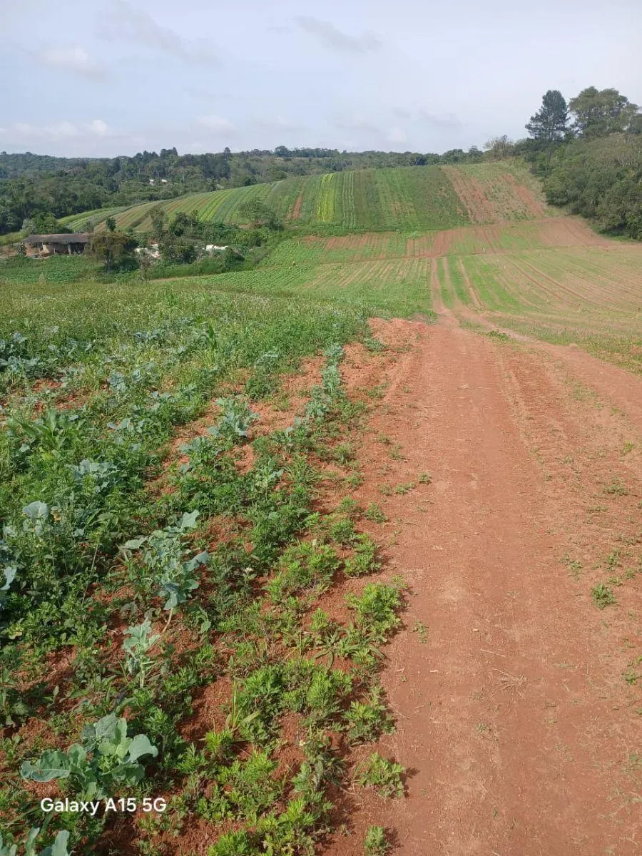 Small farm for sale of 102 acres in Ibiúna, SP, Brazil