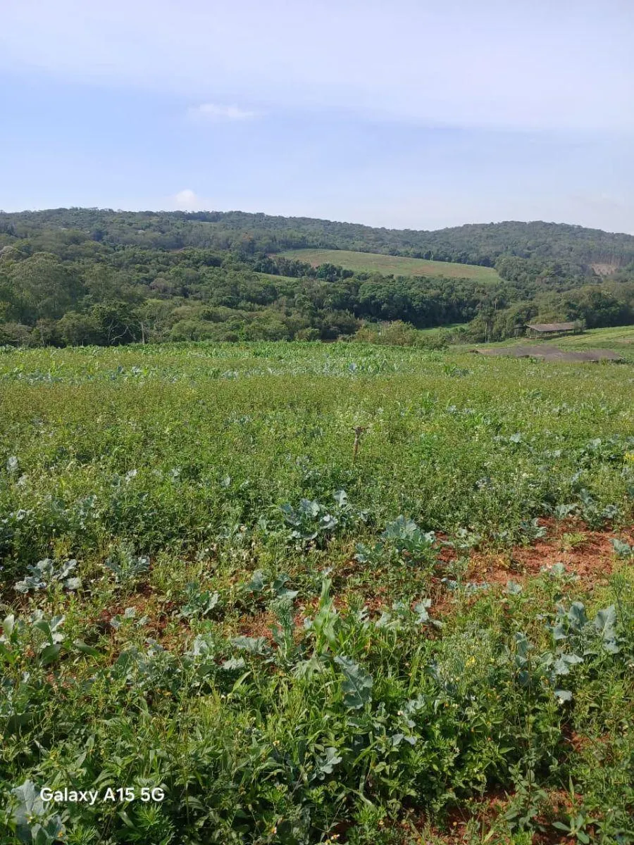 Small farm for sale of 102 acres in Ibiúna, SP, Brazil