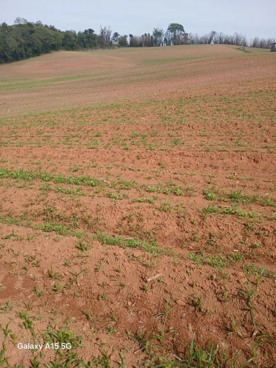 Small farm for sale of 102 acres in Ibiúna, SP, Brazil