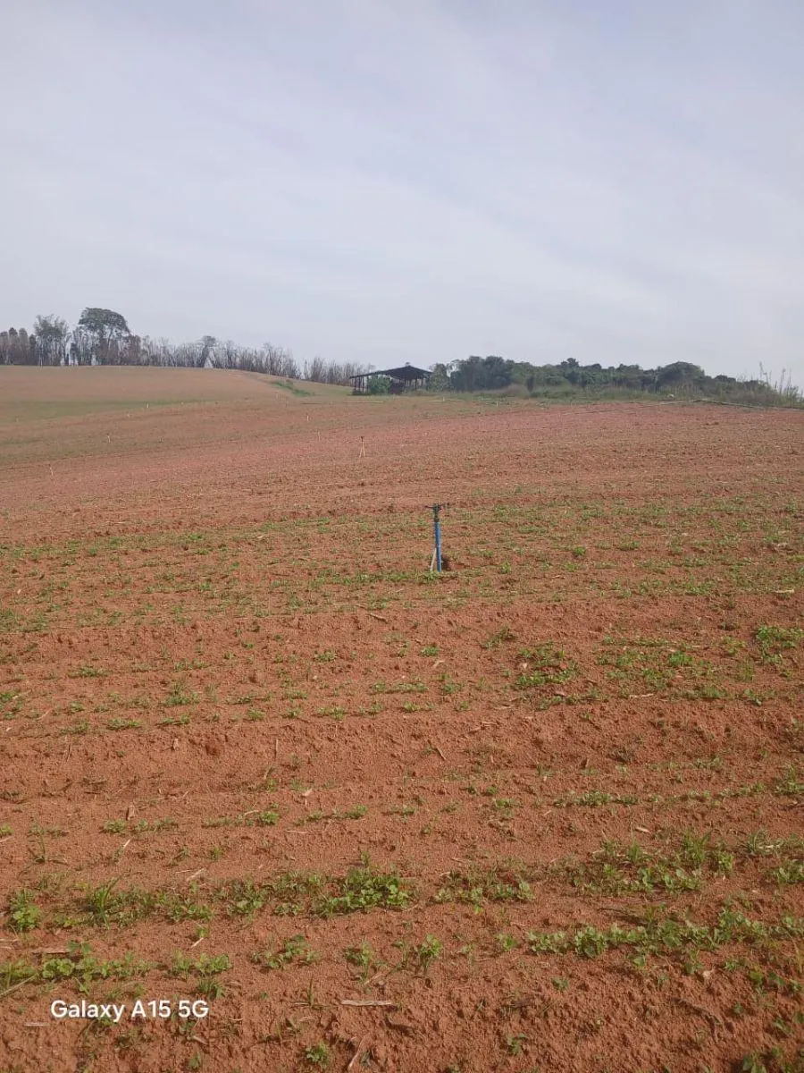 Small farm for sale of 102 acres in Ibiúna, SP, Brazil