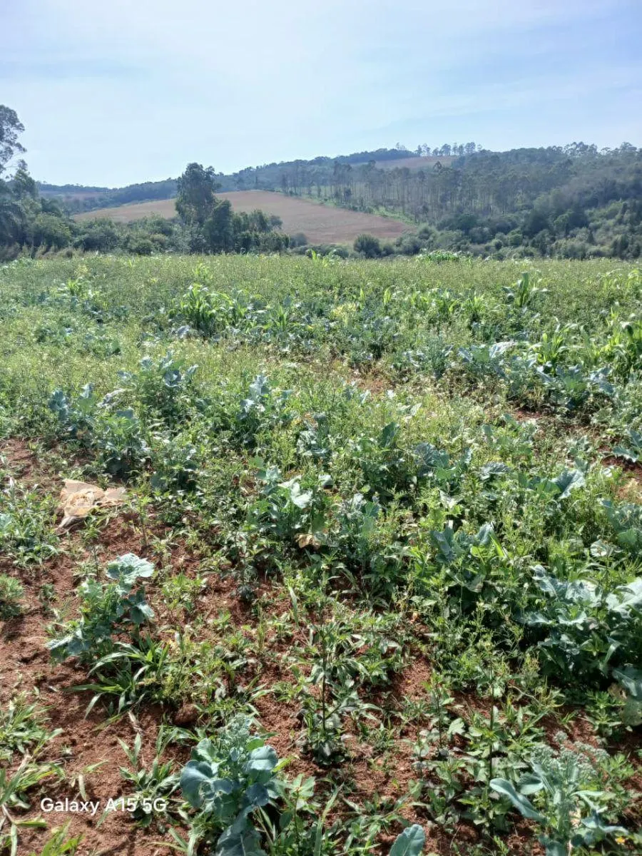 Small farm for sale of 102 acres in Ibiúna, SP, Brazil