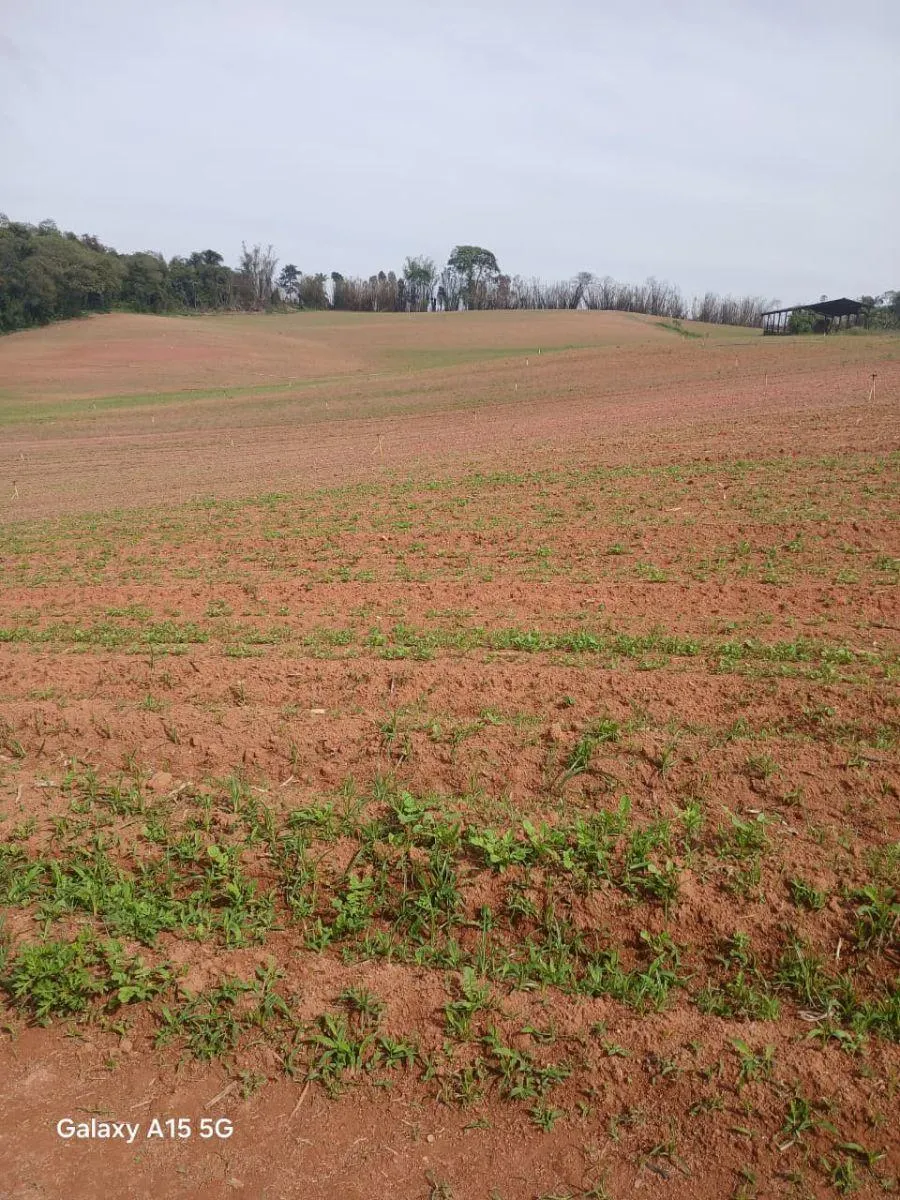 Small farm for sale of 102 acres in Ibiúna, SP, Brazil