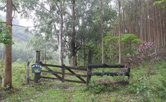 Fazenda à venda de 100 ha em Rio Preto, MG, Brasil