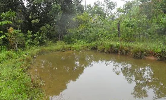 Fazenda à venda de 100 ha em Rio Preto, MG, Brasil
