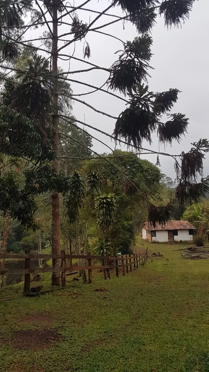 Fazenda à venda de 100 ha em Rio Preto, MG, Brasil