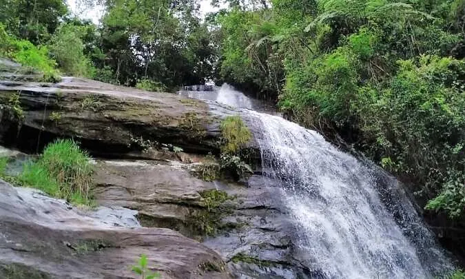 Fazenda à venda de 100 ha em Rio Preto, MG, Brasil