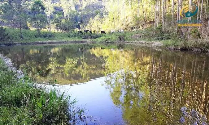 Fazenda à venda de 100 ha em Rio Preto, MG, Brasil