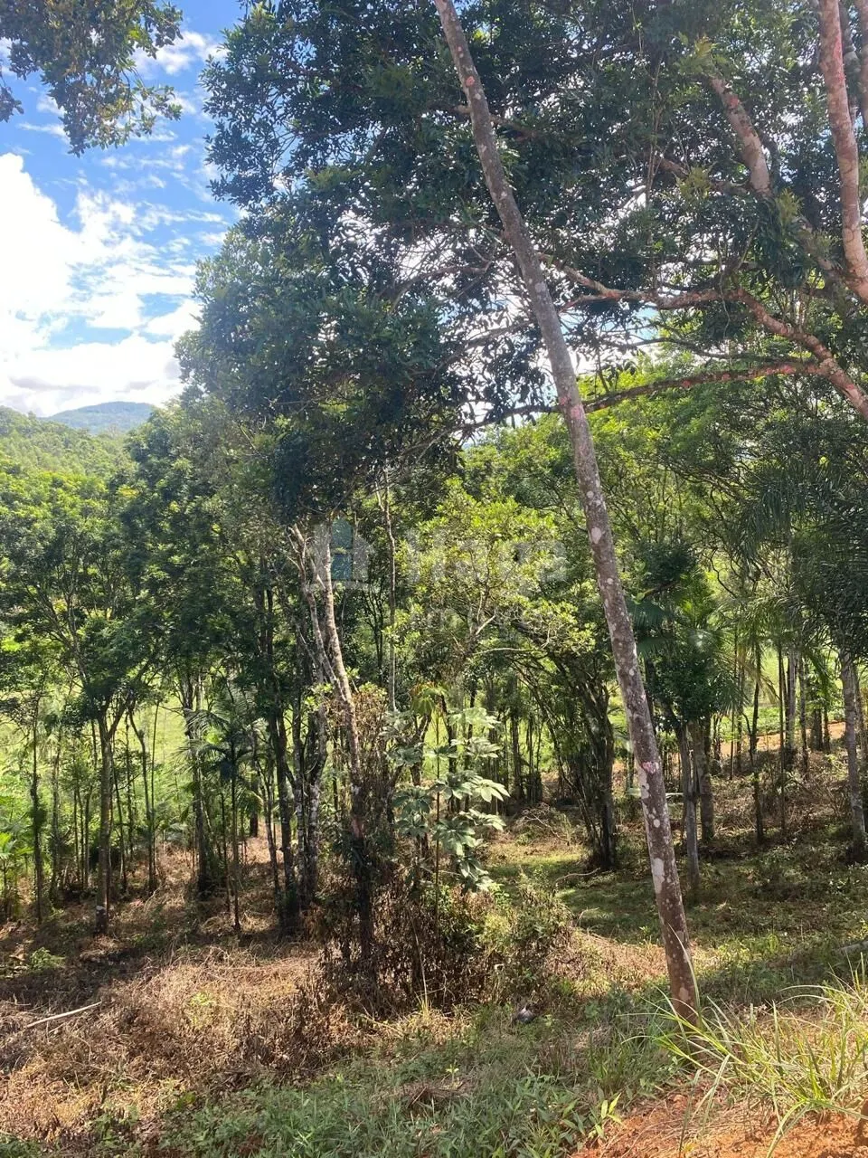 Farm for sale of 1 acres in Canelinha, SC, Brazil
