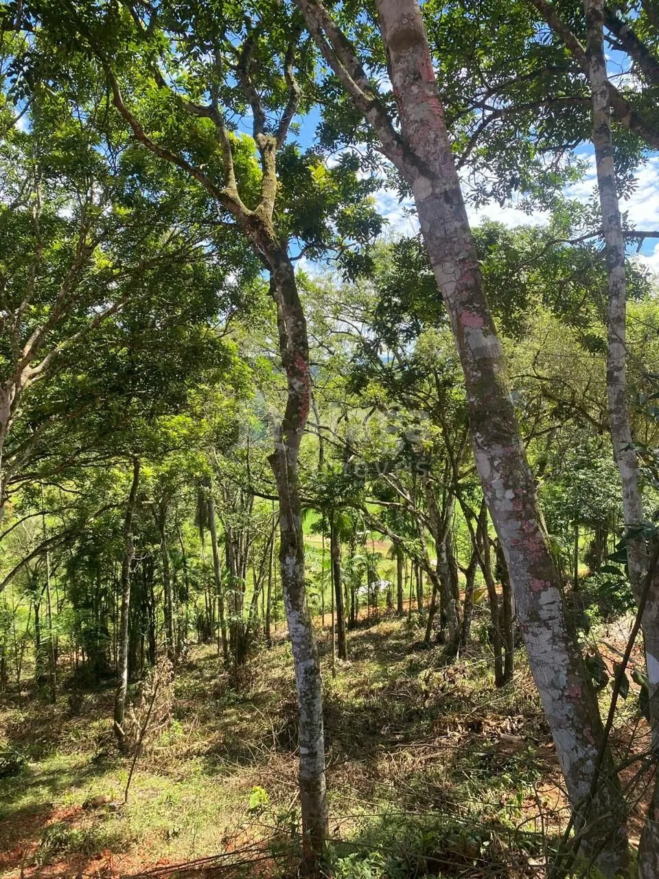 Farm for sale of 1 acres in Canelinha, SC, Brazil