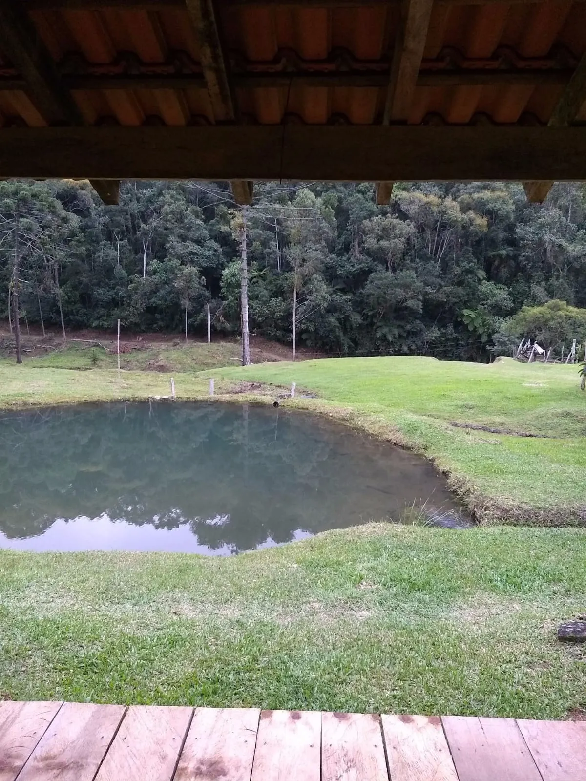 Sítio à venda de 68 ha em São José do Barreiro, SP, Brasil