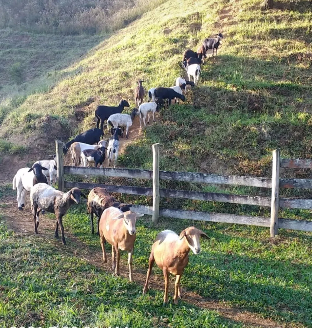 Sítio à venda de 68 ha em São José do Barreiro, SP, Brasil