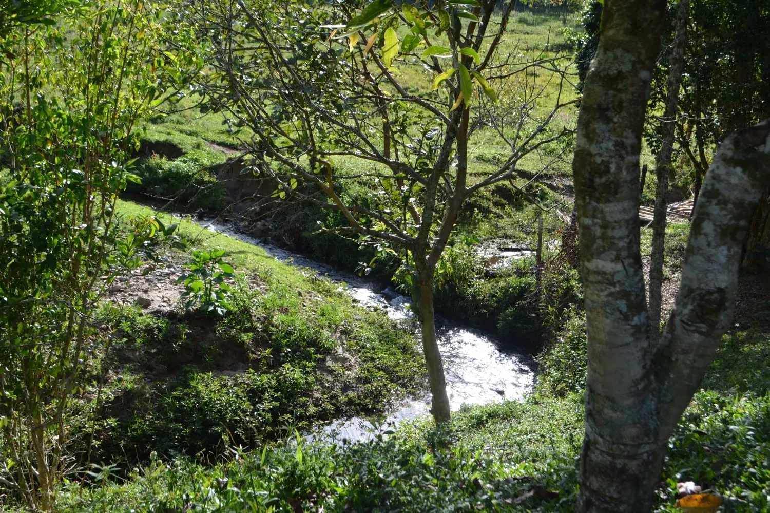 Sítio à venda de 68 ha em São José do Barreiro, SP, Brasil