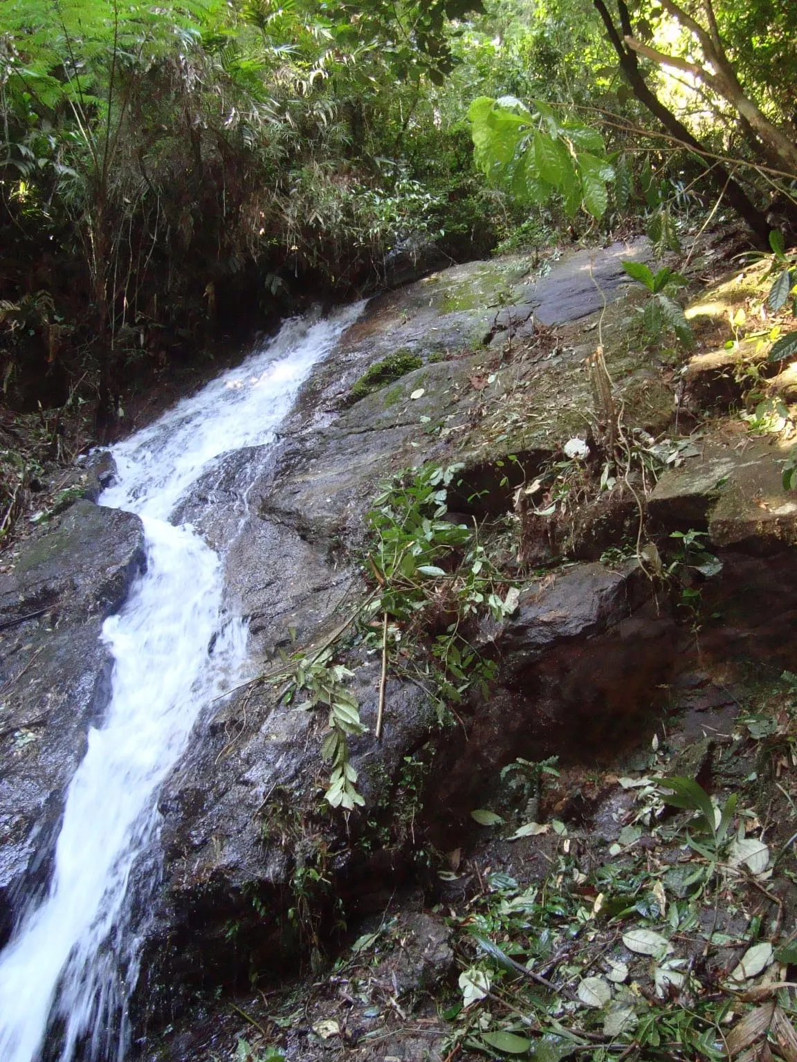 Sítio à venda de 68 ha em São José do Barreiro, SP, Brasil