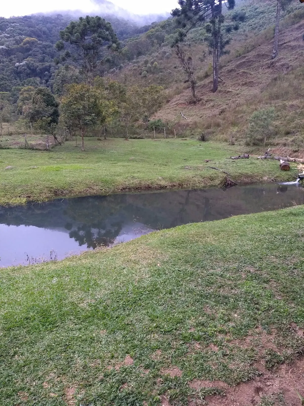 Sítio à venda de 68 ha em São José do Barreiro, SP, Brasil