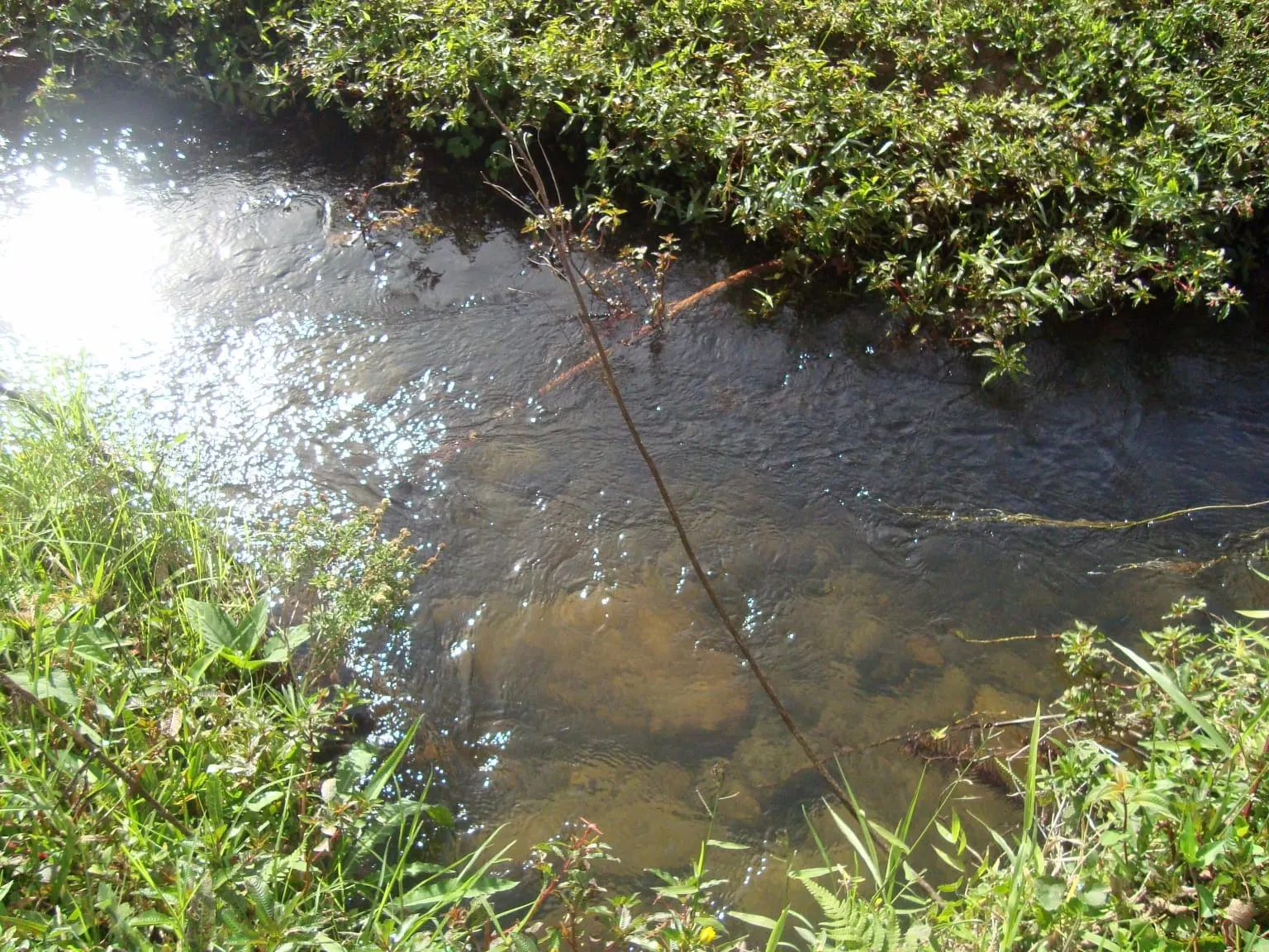 Sítio à venda de 68 ha em São José do Barreiro, SP, Brasil
