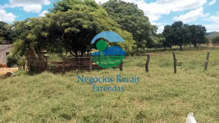 Fazenda à venda de 346 ha em Buritis, MG, Brasil