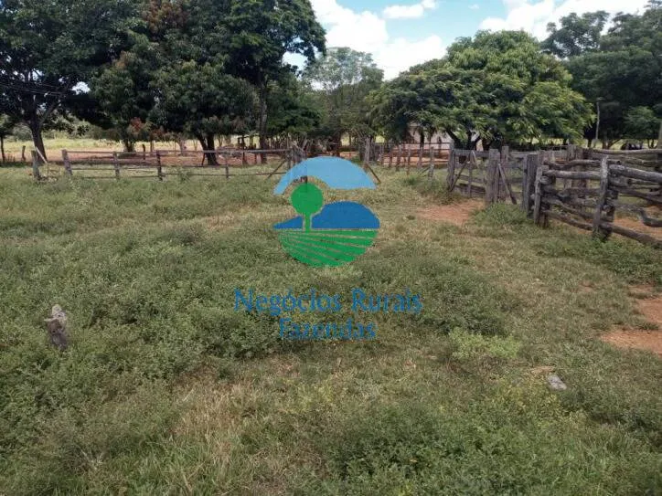 Fazenda à venda de 346 ha em Buritis, MG, Brasil