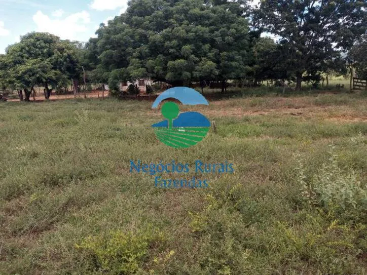 Fazenda à venda de 346 ha em Buritis, MG, Brasil