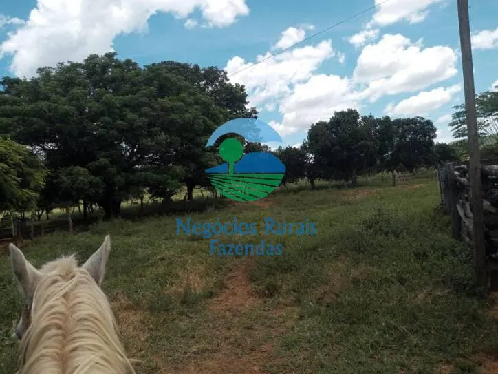Fazenda à venda de 346 ha em Buritis, MG, Brasil