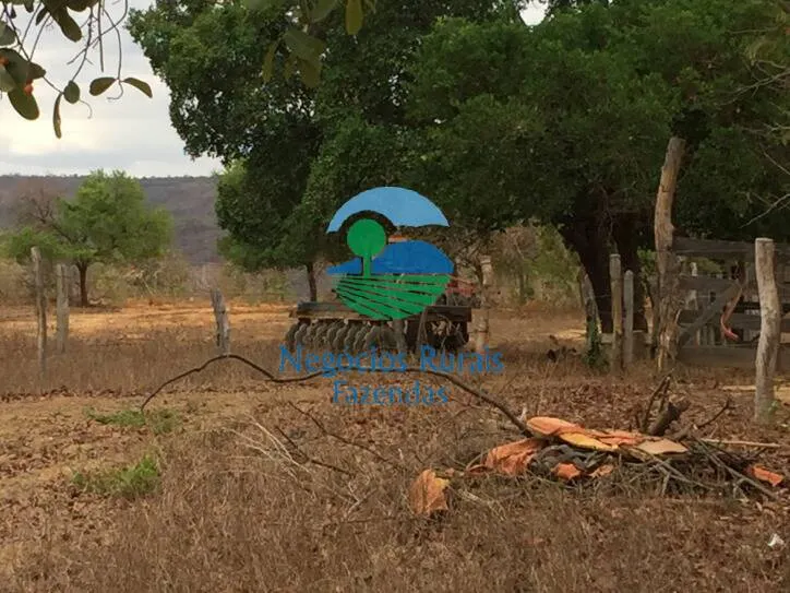 Fazenda à venda de 346 ha em Buritis, MG, Brasil