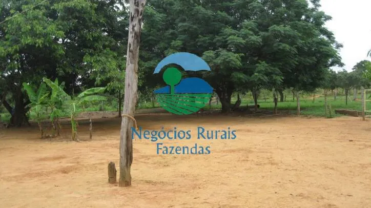 Fazenda à venda de 346 ha em Buritis, MG, Brasil