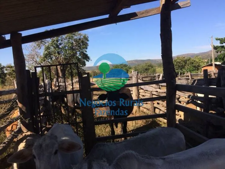 Fazenda à venda de 346 ha em Buritis, MG, Brasil