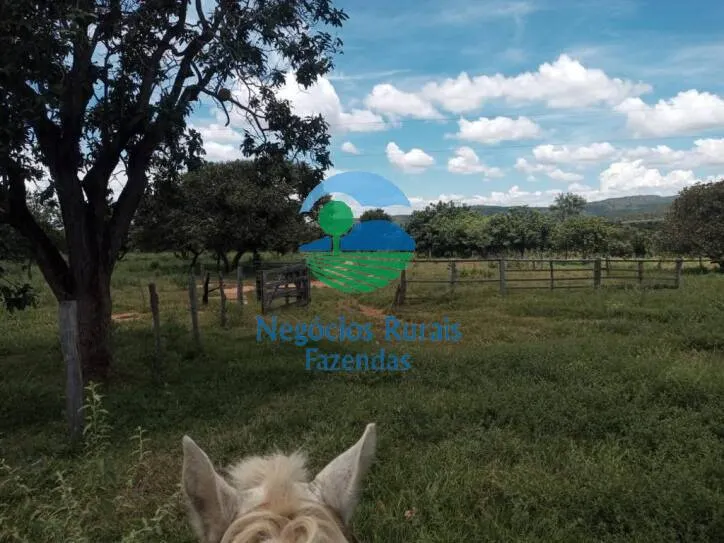 Fazenda à venda de 346 ha em Buritis, MG, Brasil