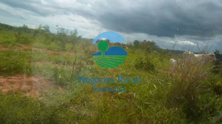 Fazenda à venda de 346 ha em Buritis, MG, Brasil