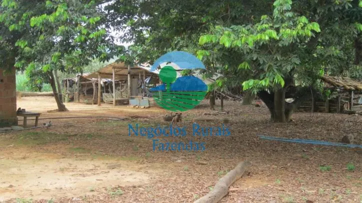 Fazenda à venda de 346 ha em Buritis, MG, Brasil