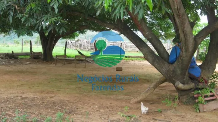 Fazenda à venda de 346 ha em Buritis, MG, Brasil