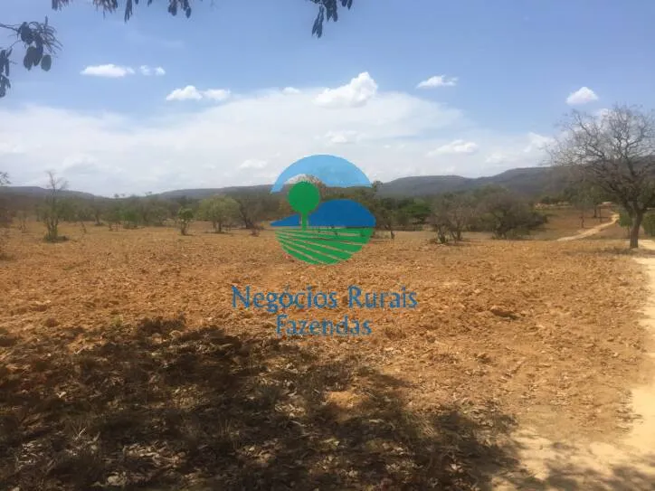 Fazenda à venda de 346 ha em Buritis, MG, Brasil