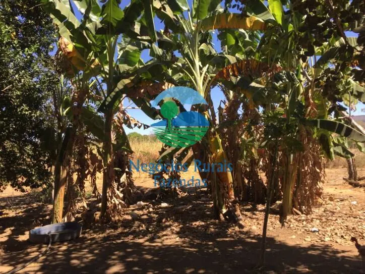 Fazenda à venda de 346 ha em Buritis, MG, Brasil