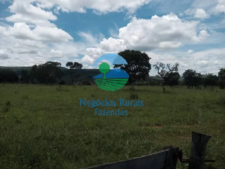 Fazenda à venda de 346 ha em Buritis, MG, Brasil