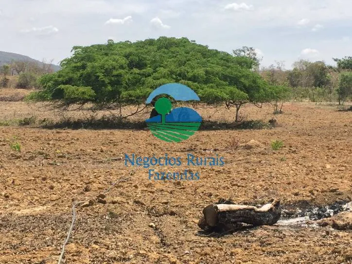 Fazenda à venda de 346 ha em Buritis, MG, Brasil