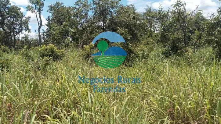 Fazenda à venda de 346 ha em Buritis, MG, Brasil