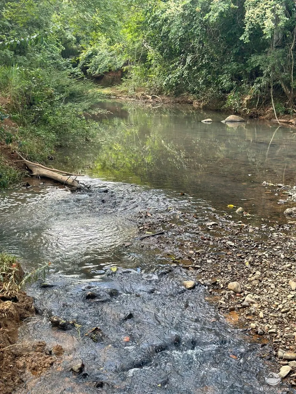 Fazenda à venda de 67 ha em Buritis, MG, Brasil