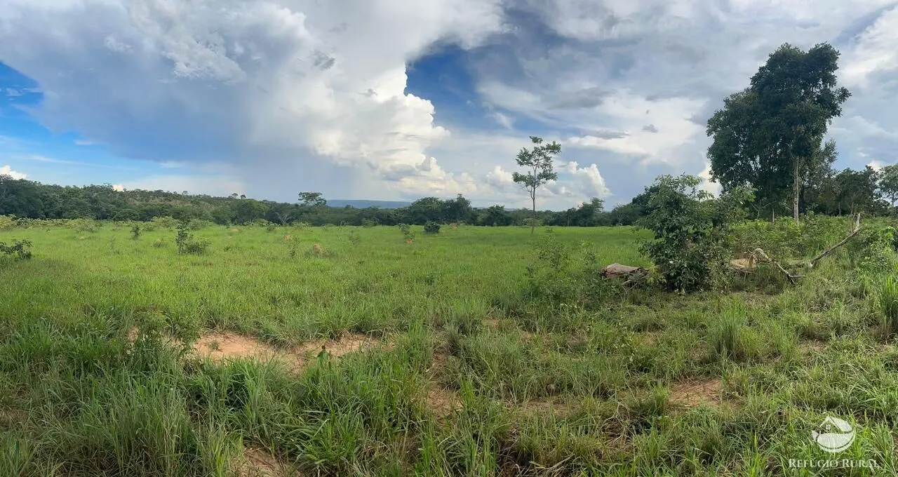 Fazenda à venda de 67 ha em Buritis, MG, Brasil