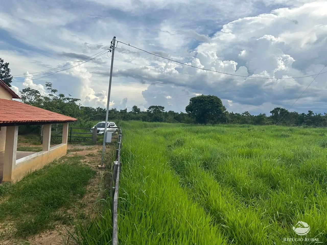 Fazenda à venda de 67 ha em Buritis, MG, Brasil