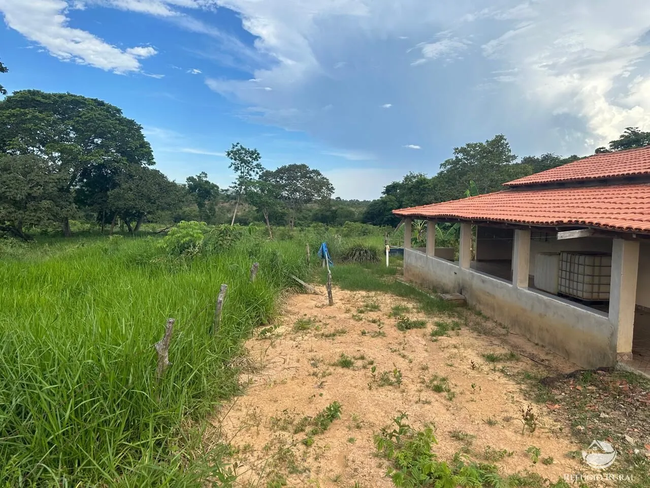 Fazenda à venda de 67 ha em Buritis, MG, Brasil