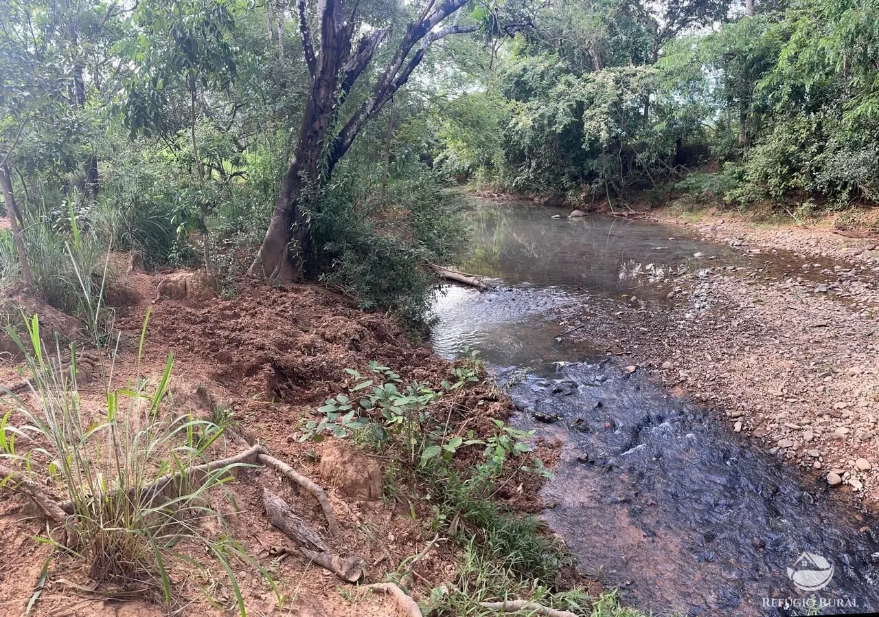 Fazenda à venda de 67 ha em Buritis, MG, Brasil