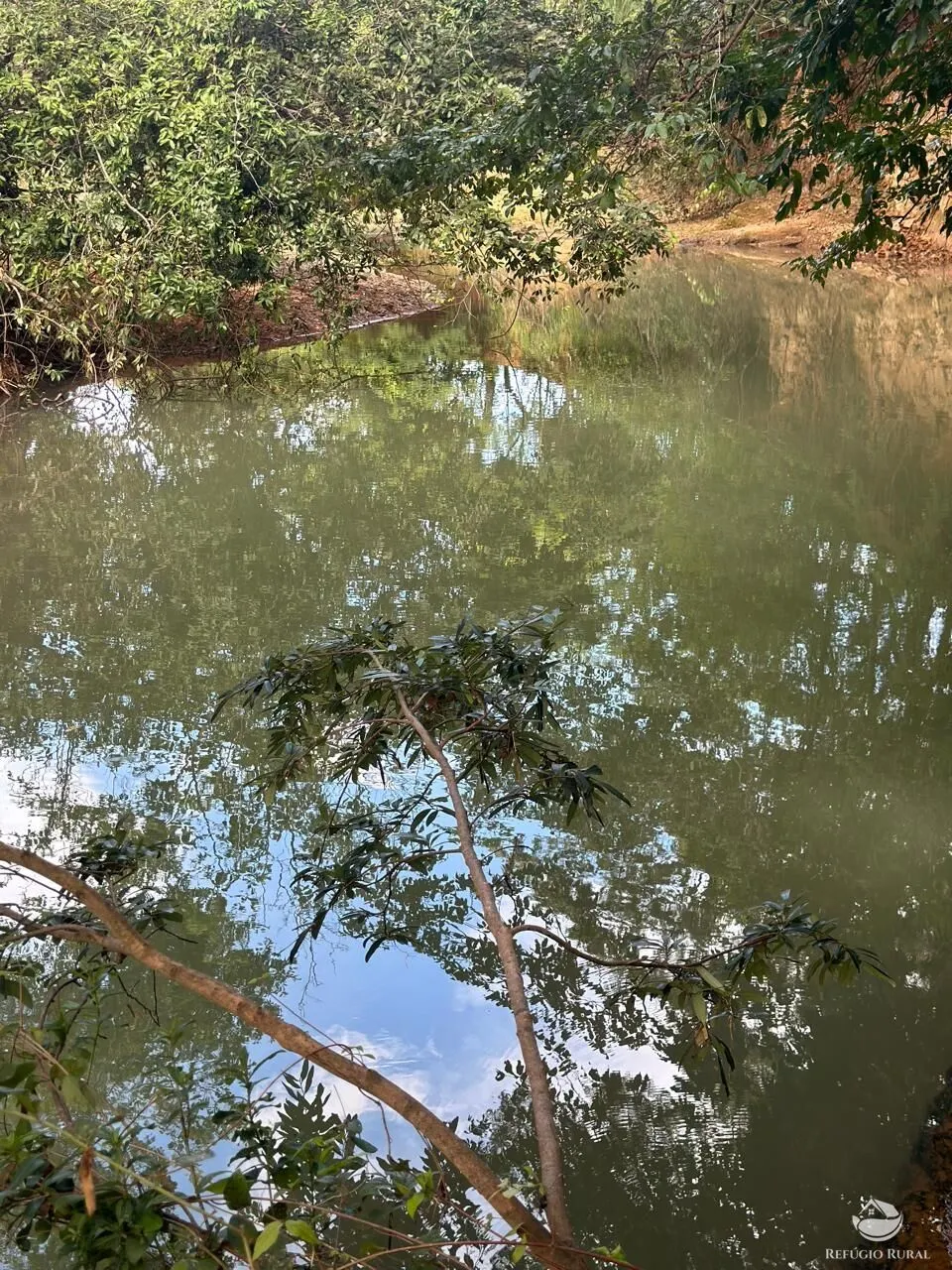 Fazenda à venda de 67 ha em Buritis, MG, Brasil