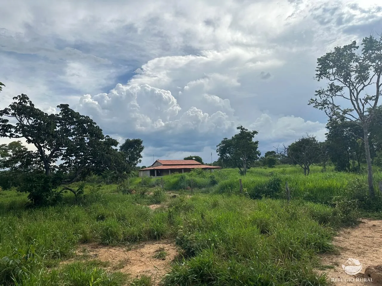 Fazenda à venda de 67 ha em Buritis, MG, Brasil