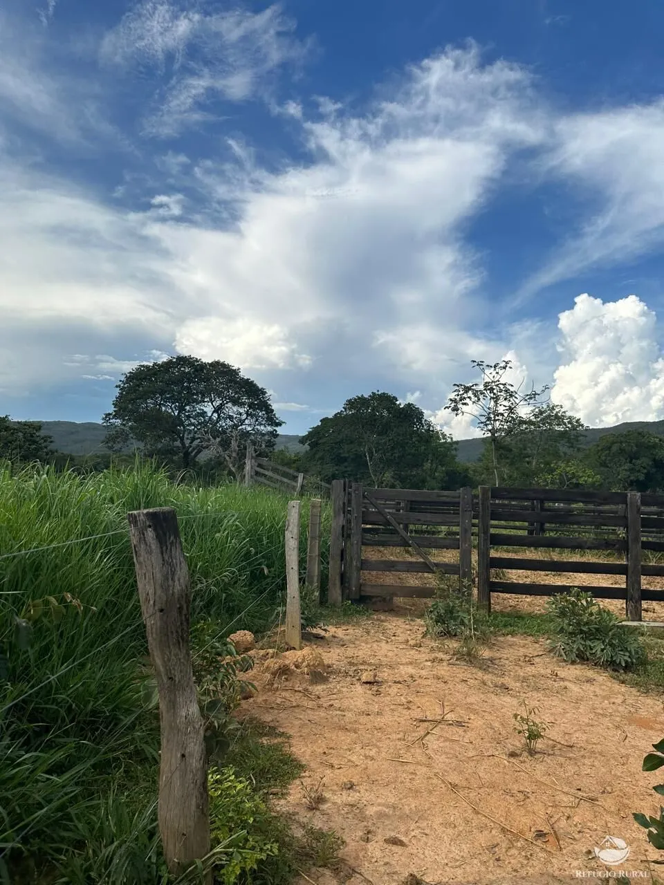 Fazenda à venda de 67 ha em Buritis, MG, Brasil