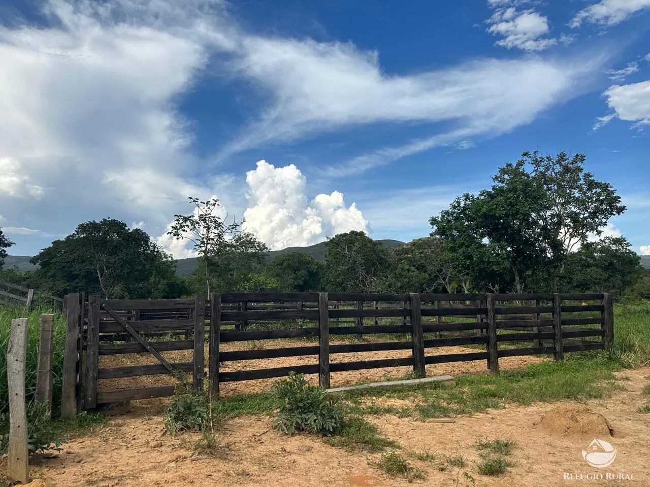 Fazenda à venda de 67 ha em Buritis, MG, Brasil