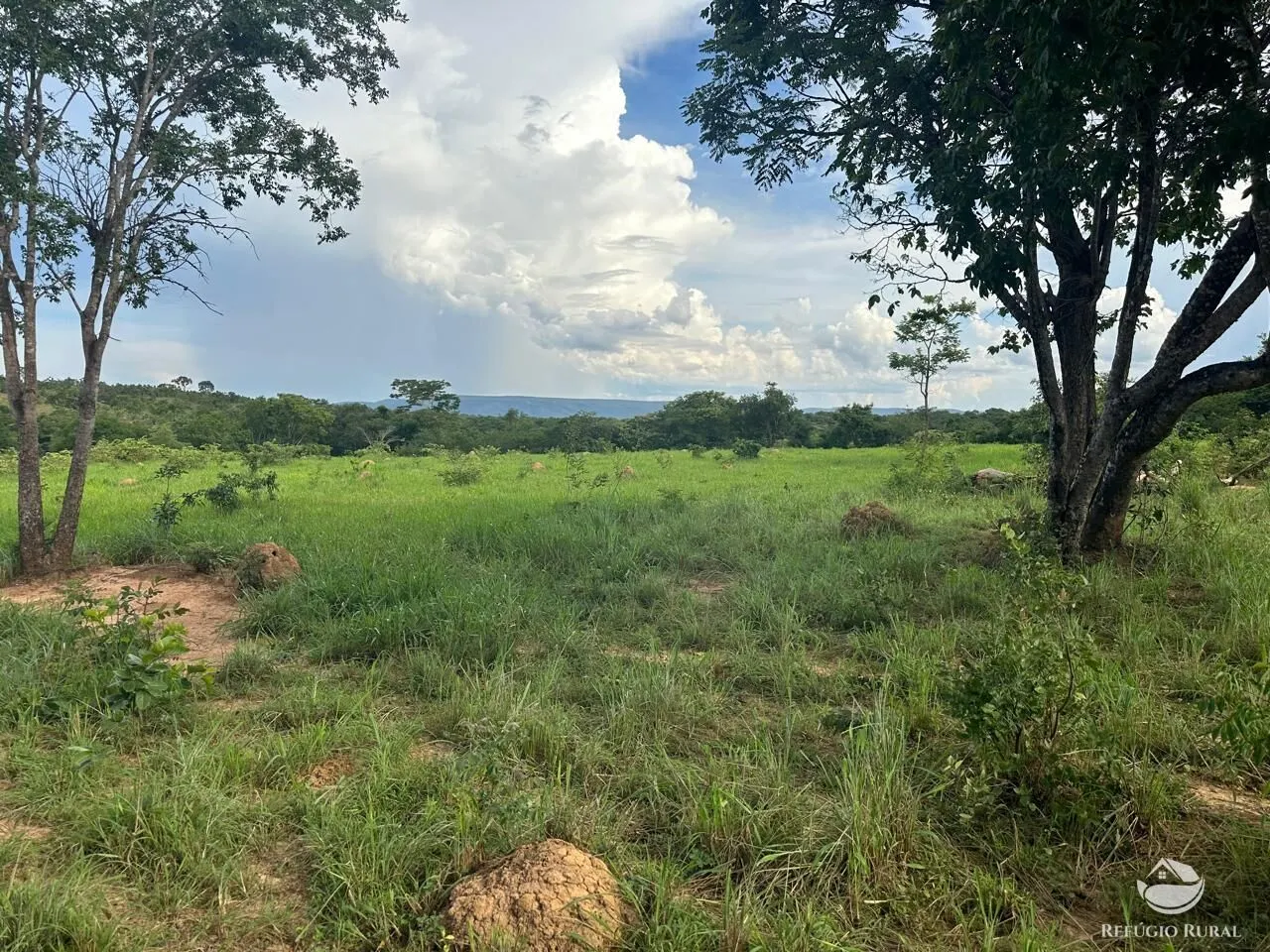 Fazenda à venda de 67 ha em Buritis, MG, Brasil