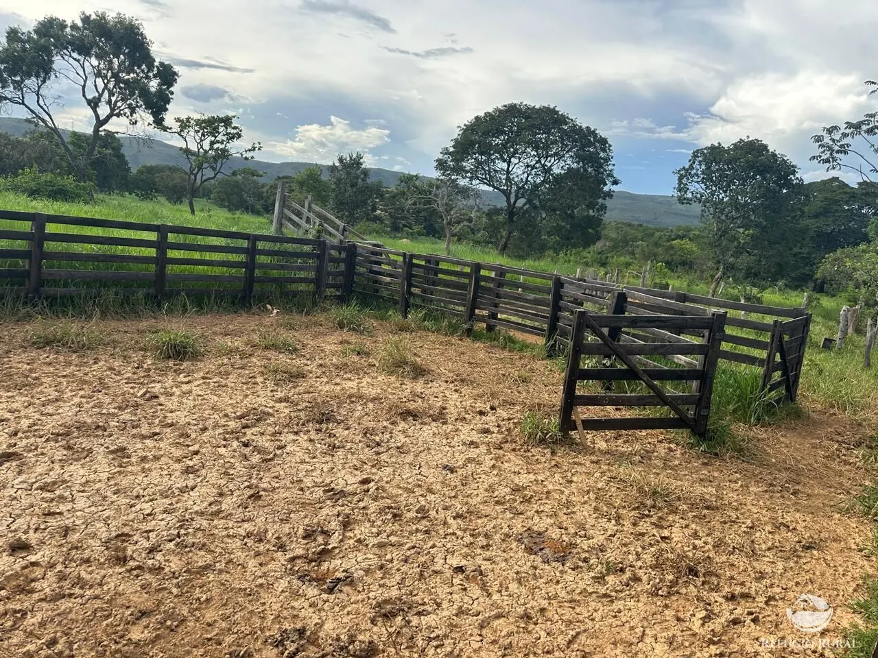 Fazenda à venda de 67 ha em Buritis, MG, Brasil