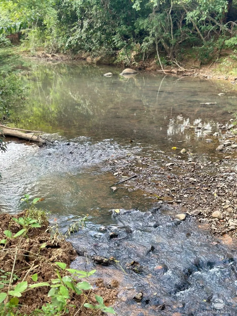 Fazenda à venda de 67 ha em Buritis, MG, Brasil