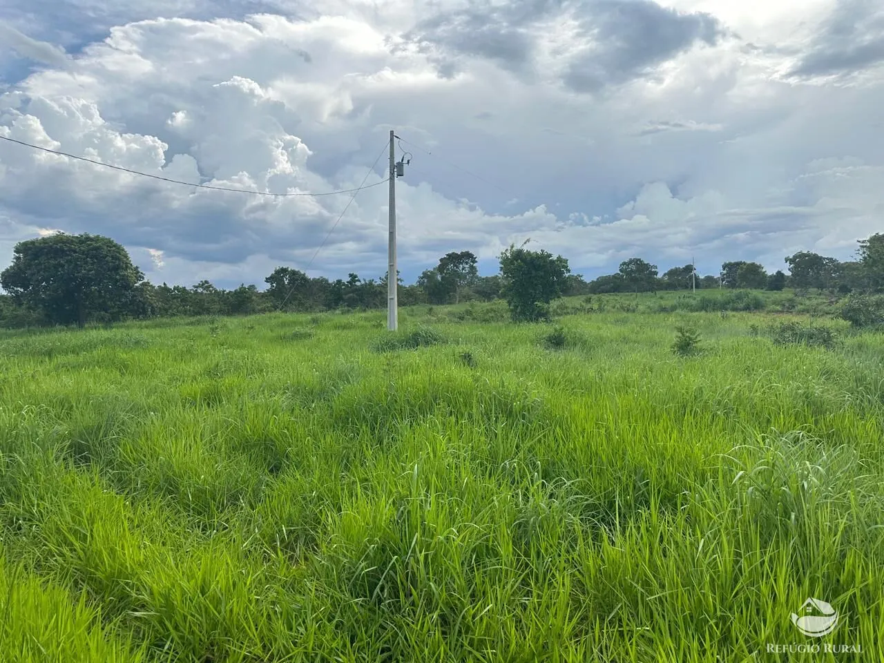 Fazenda à venda de 67 ha em Buritis, MG, Brasil