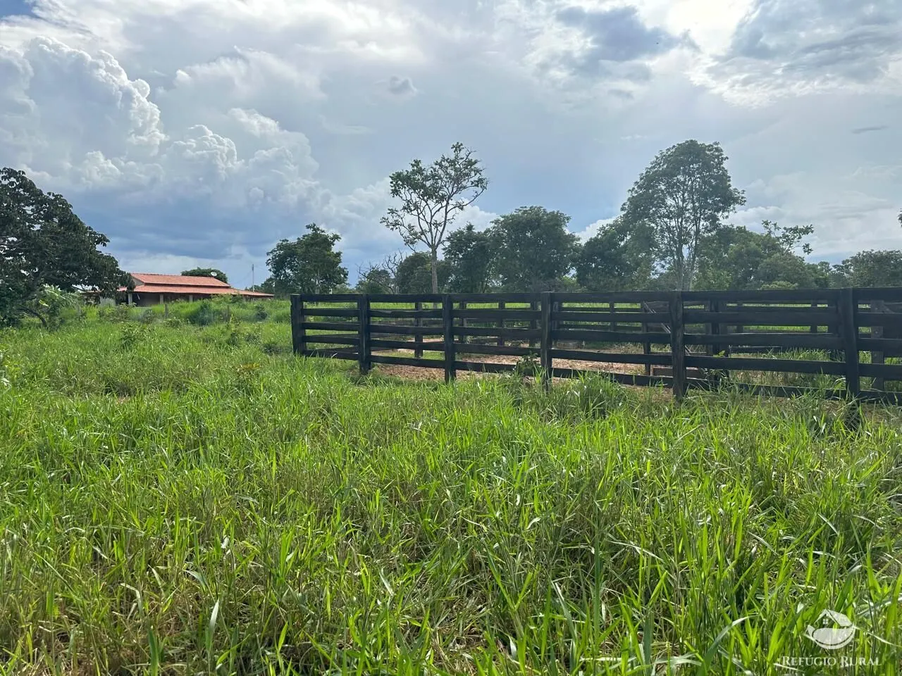 Fazenda à venda de 67 ha em Buritis, MG, Brasil